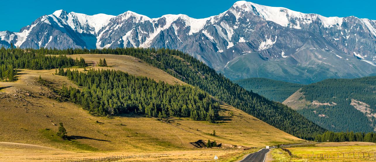 УСЛУГИ СПЕЦИАЛИЗИРОВАННОГО ДЕПОЗИТАРИЯ<br> ПИФ, НПФ, СК И СРО