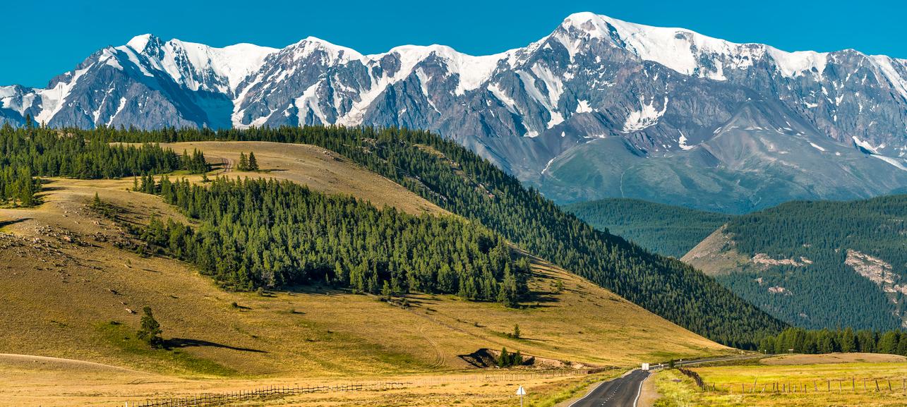 СПЕЦИАЛИЗИРОВАННЫЙ ДЕПОЗИТАРИЙ