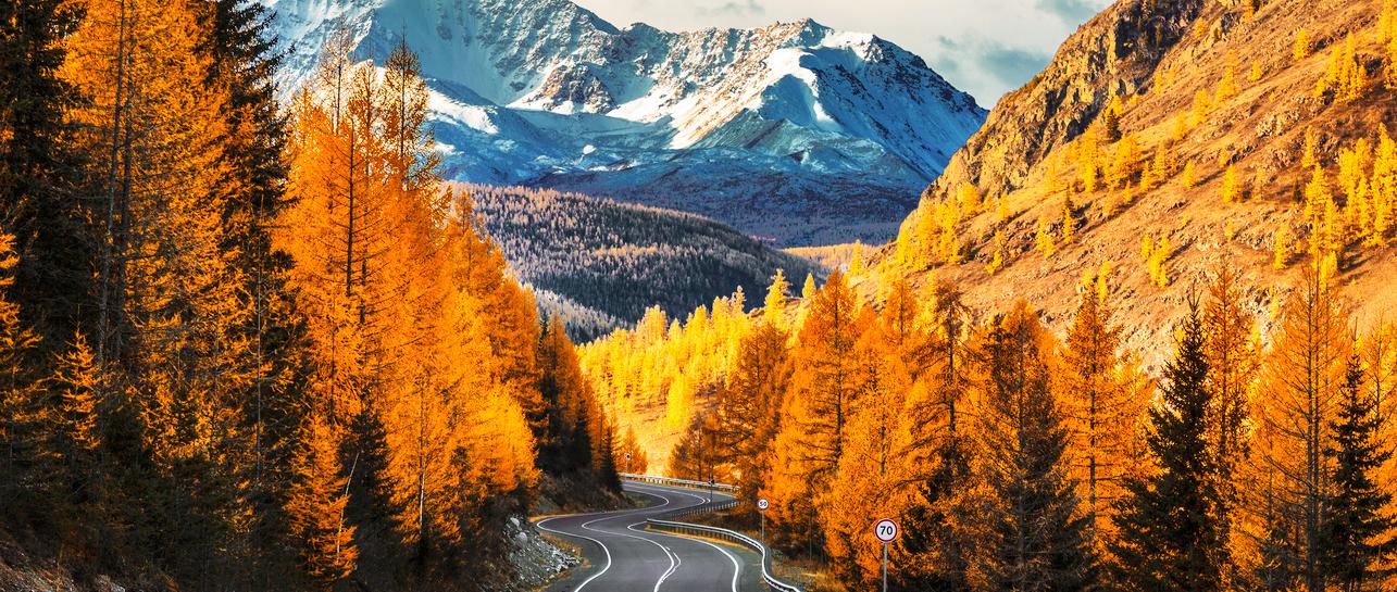 УСЛУГИ СПЕЦИАЛИЗИРОВАННОГО ДЕПОЗИТАРИЯ<br>ПО ОБСЛУЖИВАНИЮ ИПОТЕЧНЫХ ЦЕННЫХ БУМАГ